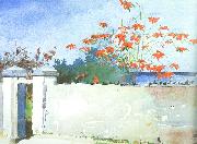 Winslow Homer A Wall, Nassau Spain oil painting reproduction